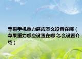 蘋果手機重力感應(yīng)怎么設(shè)置在哪（蘋果重力感應(yīng)設(shè)置在哪 怎么設(shè)置介紹）