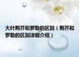 大葉荊芥和羅勒的區(qū)別（荊芥和羅勒的區(qū)別詳細(xì)介紹）