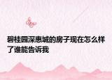 碧桂園深惠城的房子現(xiàn)在怎么樣了誰(shuí)能告訴我