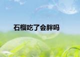 石榴吃了會胖嗎
