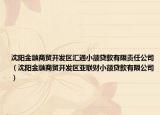 沈陽金融商貿(mào)開發(fā)區(qū)匯通小額貸款有限責(zé)任公司（沈陽金融商貿(mào)開發(fā)區(qū)亞聯(lián)財(cái)小額貸款有限公司）