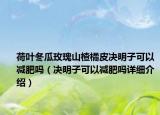 荷葉冬瓜玫瑰山楂橘皮決明子可以減肥嗎（決明子可以減肥嗎詳細(xì)介紹）