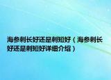 海參刺長(zhǎng)好還是刺短好（海參刺長(zhǎng)好還是刺短好詳細(xì)介紹）