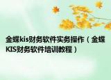金蝶kis財務(wù)軟件實務(wù)操作（金蝶KIS財務(wù)軟件培訓(xùn)教程）