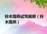 鈴木雨燕試駕視頻（鈴木雨燕）