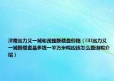 津南富力又一城和茂園新樓盤(pán)價(jià)格（??富力又一城新樓盤(pán)是多錢(qián)一平方米呢應(yīng)該怎么查詢呢介紹）