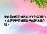 土茯苓新鮮的好還是曬干的效果好?（土茯苓鮮的好還是干的好詳細(xì)介紹）