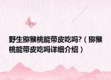 野生獼猴桃能帶皮吃嗎?（獼猴桃能帶皮吃嗎詳細(xì)介紹）