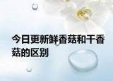 今日更新鮮香菇和干香菇的區(qū)別