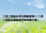 二月二龍?zhí)ь^可以剃胎發(fā)嗎!（二月二龍?zhí)ь^剃胎發(fā)好嗎詳細(xì)介紹）