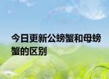 今日更新公螃蟹和母螃蟹的區(qū)別