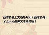 西洋參是上火還是降火（西洋參吃了上火還是降火詳細(xì)介紹）