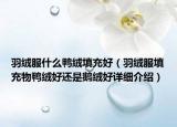 羽絨服什么鴨絨填充好（羽絨服填充物鴨絨好還是鵝絨好詳細介紹）