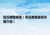 苦瓜哪里最苦（苦瓜哪里最苦詳細(xì)介紹）