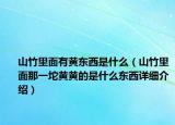 山竹里面有黃東西是什么（山竹里面那一坨黃黃的是什么東西詳細(xì)介紹）