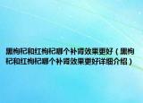 黑枸杞和紅枸杞哪個補腎效果更好（黑枸杞和紅枸杞哪個補腎效果更好詳細介紹）