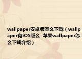 wallpaper安卓版怎么下載（wallpaper有iOS版么  蘋果wallpaper怎么下載介紹）