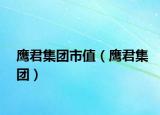 鷹君集團(tuán)市值（鷹君集團(tuán)）