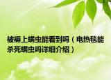 被褥上螨蟲能看到嗎（電熱毯能殺死螨蟲嗎詳細(xì)介紹）
