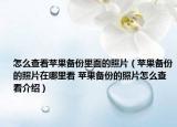 怎么查看蘋果備份里面的照片（蘋果備份的照片在哪里看 蘋果備份的照片怎么查看介紹）
