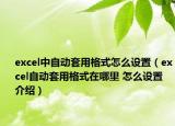 excel中自動(dòng)套用格式怎么設(shè)置（excel自動(dòng)套用格式在哪里 怎么設(shè)置介紹）