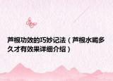 蘆根功效的巧妙記法（蘆根水喝多久才有效果詳細(xì)介紹）