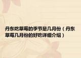 丹東吃草莓的季節(jié)是幾月份（丹東草莓幾月份的好吃詳細(xì)介紹）