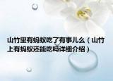 山竹里有螞蟻吃了有事兒么（山竹上有螞蟻還能吃嗎詳細介紹）