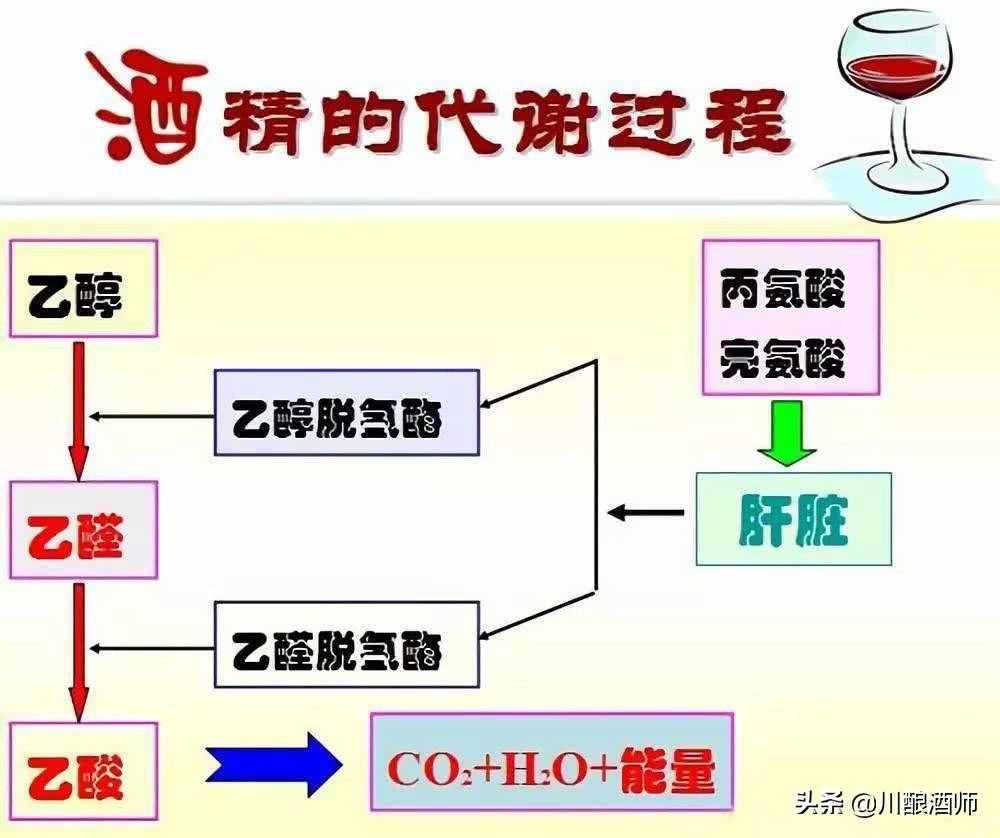 怎么能快速解酒？濃茶、蜂蜜都沒(méi)用！老酒民教你幾個(gè)有效的方法