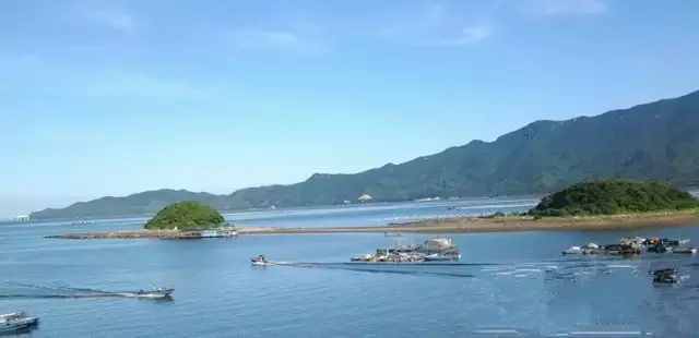 廣州周邊這5個小漁村，有吃不完的生猛海鮮，還藏著絕美海景