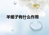 羊蝎子有什么作用