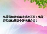 龜苓膏和燒仙草味道差不多（龜苓膏和燒仙草哪個(gè)好詳細(xì)介紹）