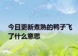 今日更新煮熟的鴨子飛了什么意思
