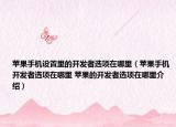 蘋果手機設置里的開發(fā)者選項在哪里（蘋果手機開發(fā)者選項在哪里 蘋果的開發(fā)者選項在哪里介紹）
