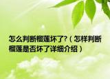 怎么判斷榴蓮壞了?（怎樣判斷榴蓮是否壞了詳細(xì)介紹）