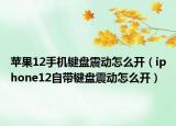 蘋果12手機鍵盤震動怎么開（iphone12自帶鍵盤震動怎么開）