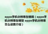 oppo手機(jī)分辨率在哪調(diào)（oppo手機(jī)分辨率在哪里 oppo手機(jī)分辨率怎么設(shè)置介紹）