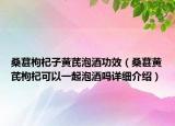 桑葚枸杞子黃芪泡酒功效（桑葚黃芪枸杞可以一起泡酒嗎詳細(xì)介紹）