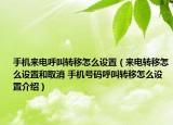 手機(jī)來電呼叫轉(zhuǎn)移怎么設(shè)置（來電轉(zhuǎn)移怎么設(shè)置和取消 手機(jī)號碼呼叫轉(zhuǎn)移怎么設(shè)置介紹）