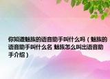 你知道魅族的語音助手叫什么嗎（魅族的語音助手叫什么名 魅族怎么叫出語音助手介紹）
