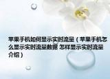 蘋(píng)果手機(jī)如何顯示實(shí)時(shí)流量（蘋(píng)果手機(jī)怎么顯示實(shí)時(shí)流量數(shù)據(jù) 怎樣顯示實(shí)時(shí)流量介紹）
