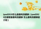 ipad2019怎么查看電池健康（ipad2020在哪里查看電池健康 怎么看電池健康度介紹）