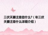 三伏天要注意些什么?（年三伏天要注意什么詳細(xì)介紹）