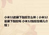 小米11的屏下指紋怎么樣（小米12是屏下指紋嗎 小米12指紋在哪兒介紹）