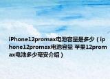 iPhone12promax電池容量是多少（iphone12promax電池容量 蘋果12promax電池多少毫安介紹）