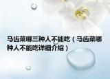 馬齒菜哪三種人不能吃（馬齒菜哪種人不能吃詳細(xì)介紹）