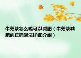 牛蒡茶怎么喝可以減肥（牛蒡茶減肥的正確喝法詳細介紹）