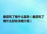 桑葚吃了有什么禁忌（桑葚吃了有什么好處詳細介紹）