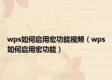 wps如何啟用宏功能視頻（wps如何啟用宏功能）