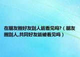 在朋友圈好友別人能看見嗎?（朋友圈別人,共同好友能被看見嗎）